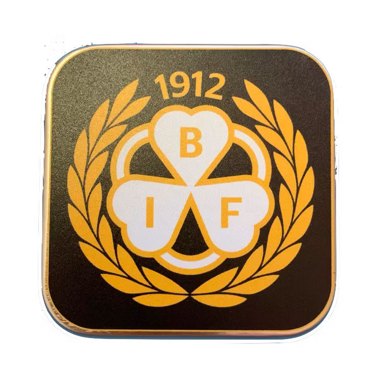 Brynäsasken
